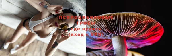 прущая мука Снежногорск