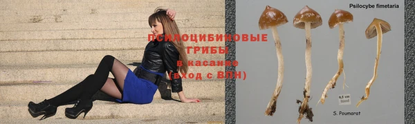 альфа пвп Богородск