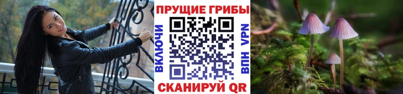 наркотики  Бугуруслан  Псилоцибиновые грибы прущие грибы 